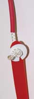 Infection Prevention